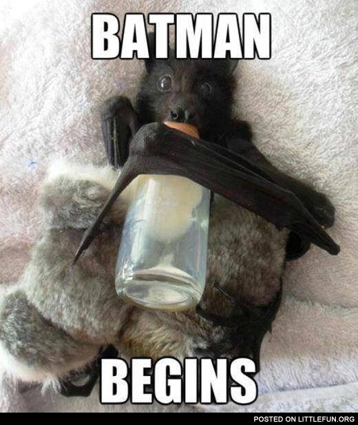 Batman, begins