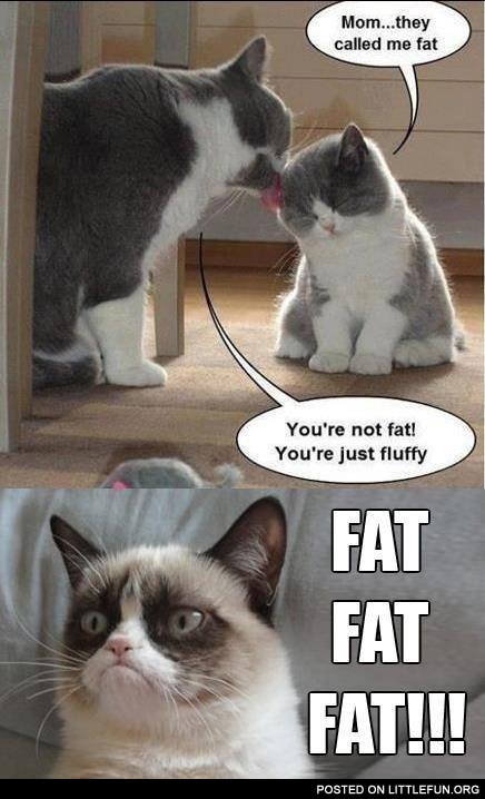 Fat fat fat