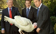 George Bush and the turkey