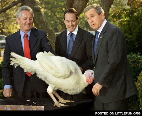 George Bush and the turkey