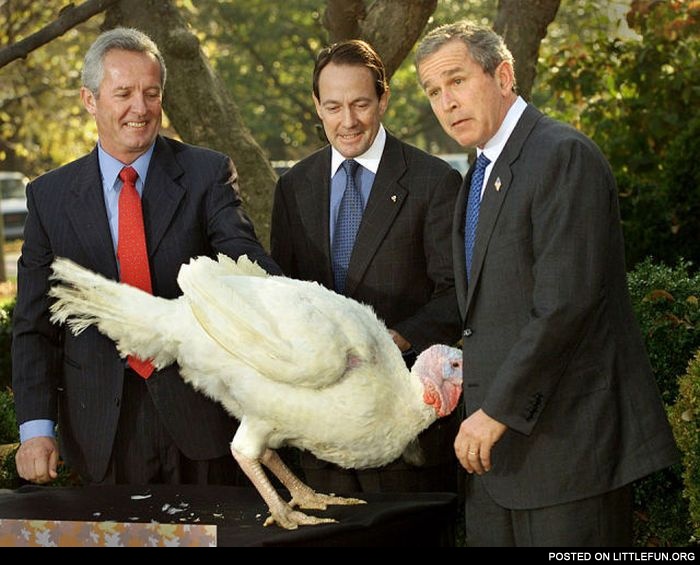 George Bush and the turkey
