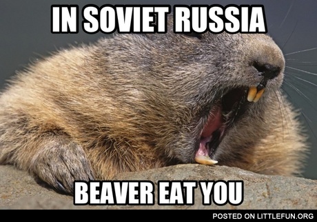 In Soviet Russia beaver eat you