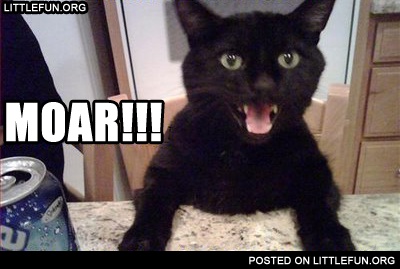 Moar! A black cat.