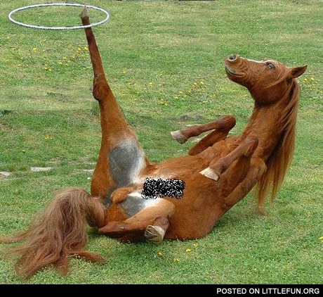 I forgot how to horse
