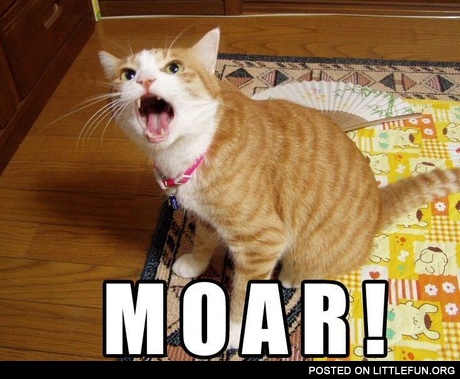 Moar. A red cat.