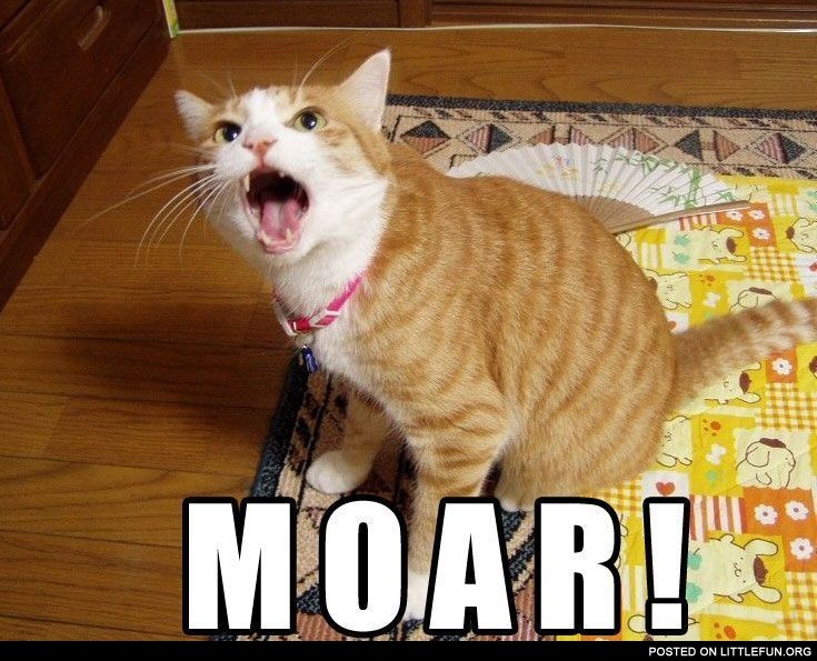 Moar. A red cat.
