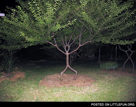 Go home, you are drunk