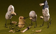 Zombie peanuts