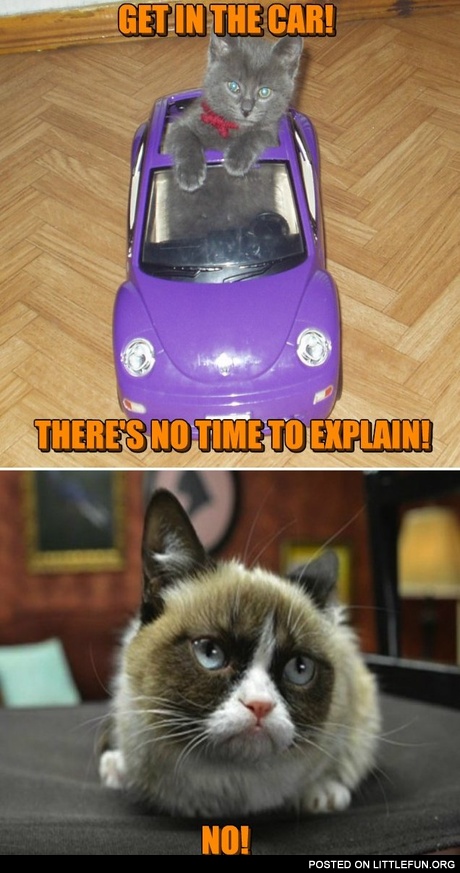 Get in the car
