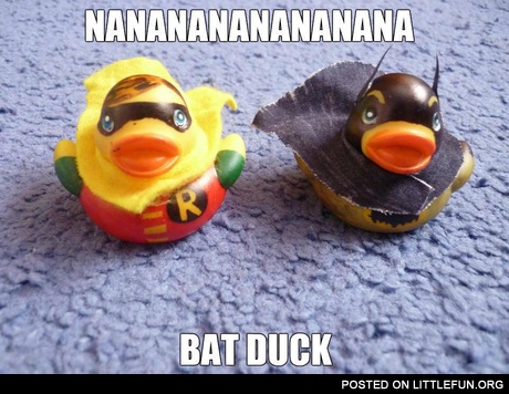 Bat duck