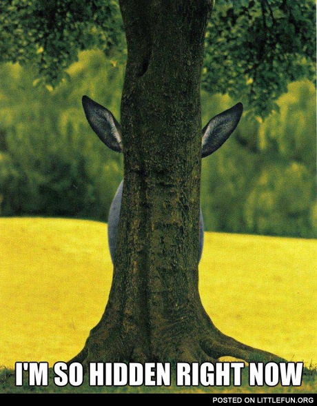 I'm so hidden right now