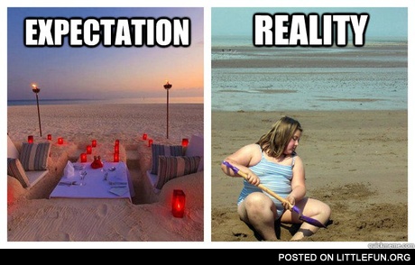 Expectation vs. Reality