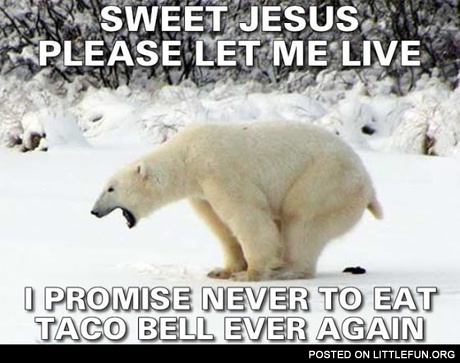 I promise never to eat taco bell again