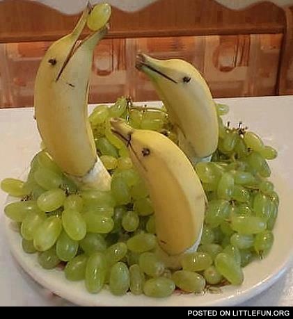 Banana dolphins