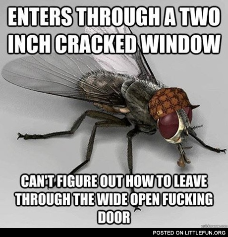 Scumbag fky