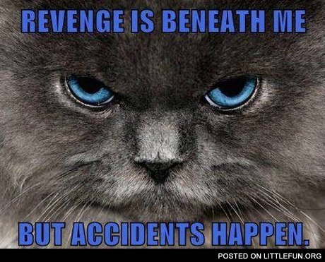 Revenge is beneath me