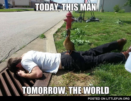 The dominant duck