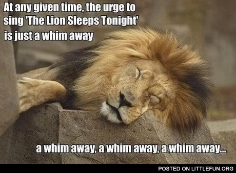 Sleeping lion