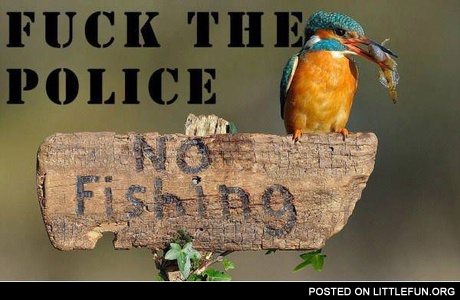 F**k the police