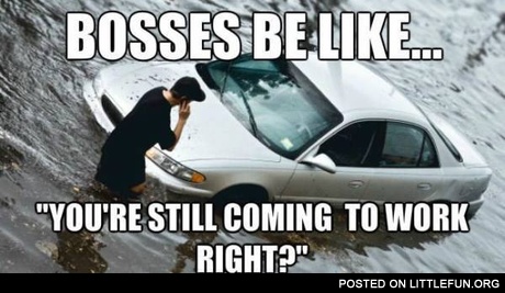 Bosses be like