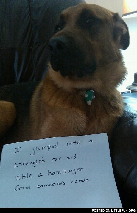 I jumped into the stranger's car
