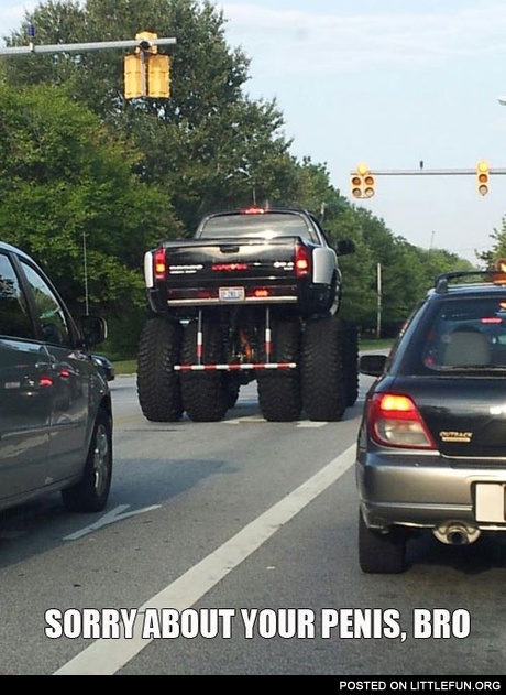 Sorry about your penis, bro