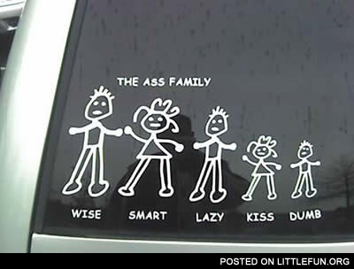 The ass family