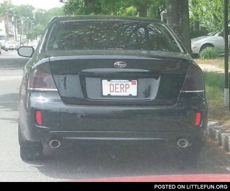 Derp licence plate