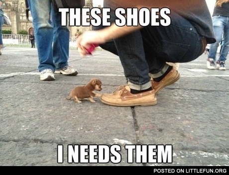 These shoes