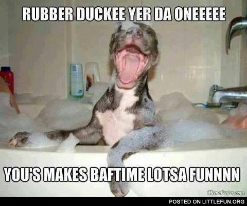 Dog in the bubble bath