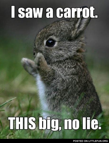 I saw a carrot