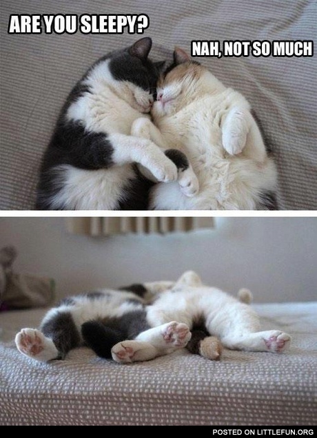 Are you sleepy?