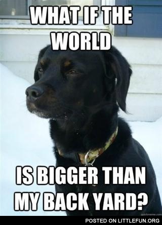 What if the world is bigger than my back yard