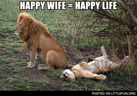 Happy wife = happy life