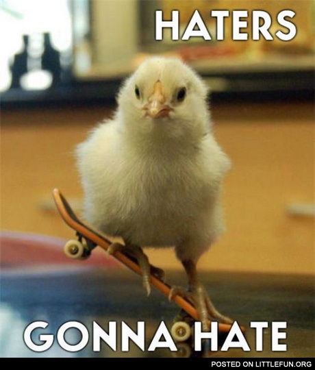 Haters gonna hate. A chick on the skateboard.
