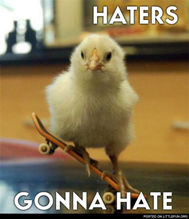 Haters gonna hate. A chick on the skateboard.