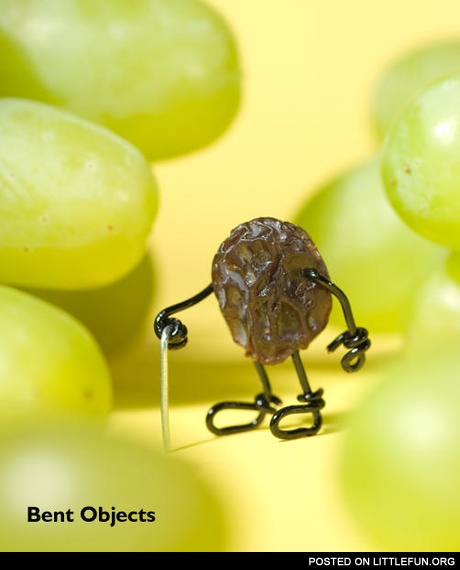 Old grape