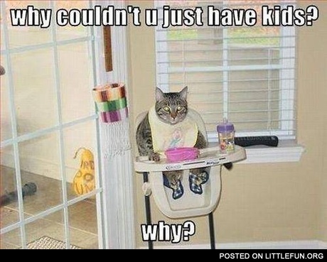 Why couldn't you just have kids?