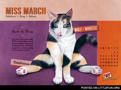 Miss March