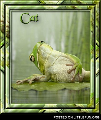 Cat?