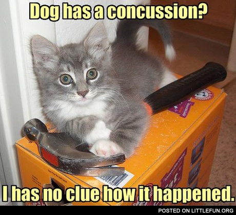Concussion?