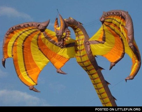 Dragon kite