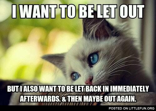 I want to be let out