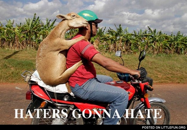 Haters gonna hate. A goat on the bike.