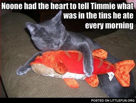 What was in the tins he ate