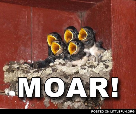 Moar! Chicks.