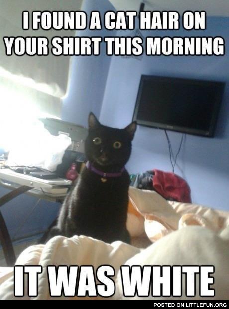 I found a hair on your shirt this morning