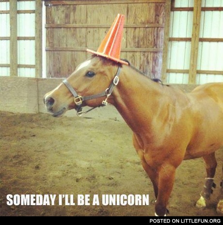 Someday I'll be a unicorn