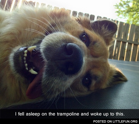 I fell asleep on the trampoline