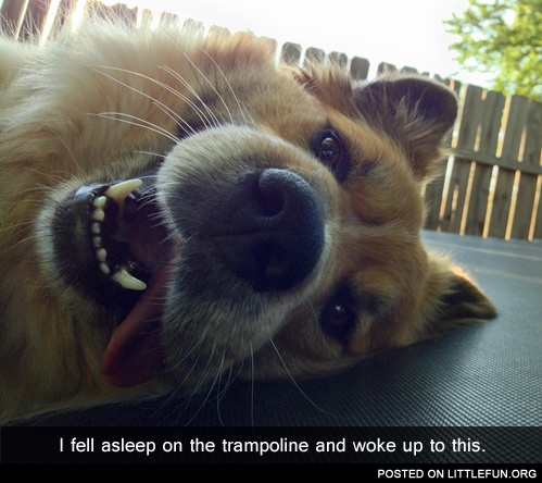 I fell asleep on the trampoline
